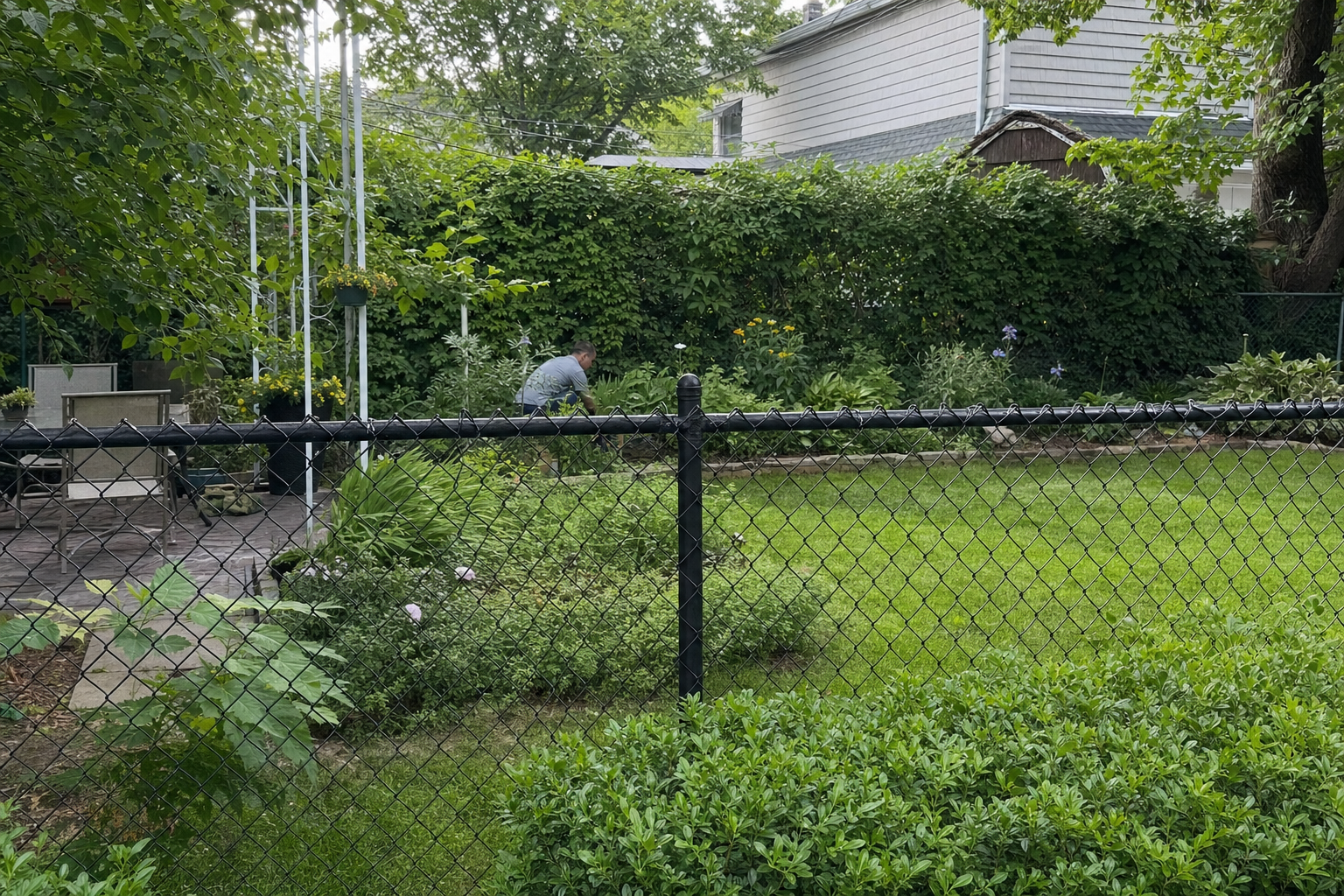 Black vinyl-coated chain link fence blending into a Queens backyard